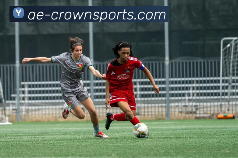 皇冠体育CROWNSPORT官网品牌故事